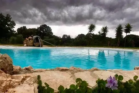 SUNCAVE GARDEN NATURIST